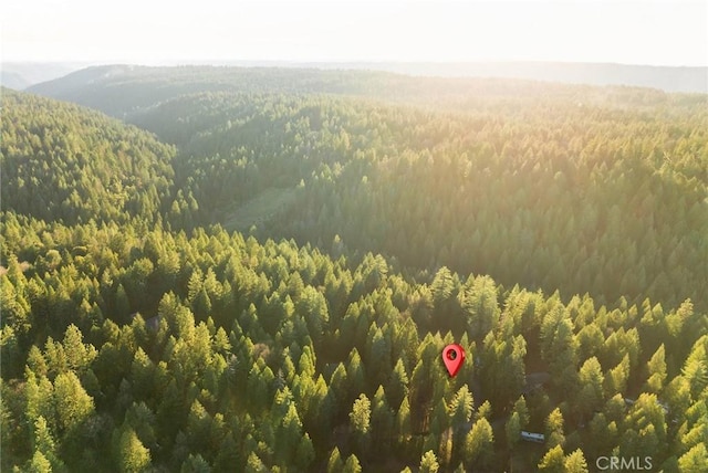 bird's eye view featuring a forest view