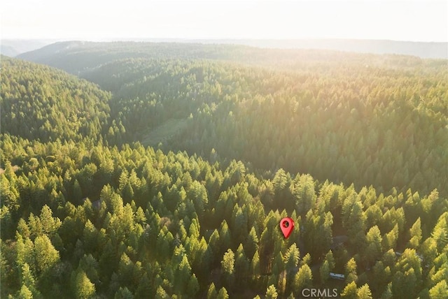 6356 Hidden Lake Ln, Magalia, CA 95954 - bird's eye view with a mountain view and a forest view