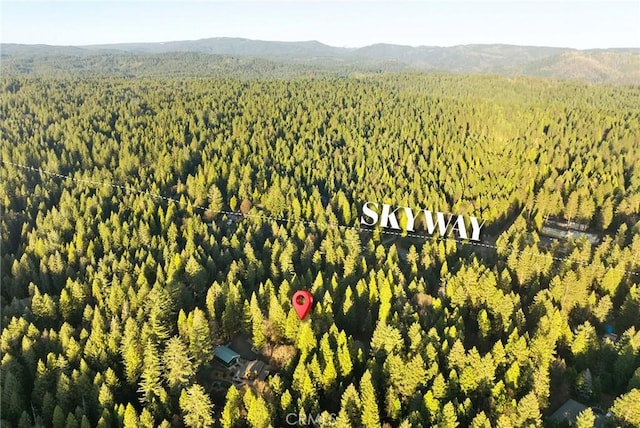 aerial view with a view of trees and a mountain view