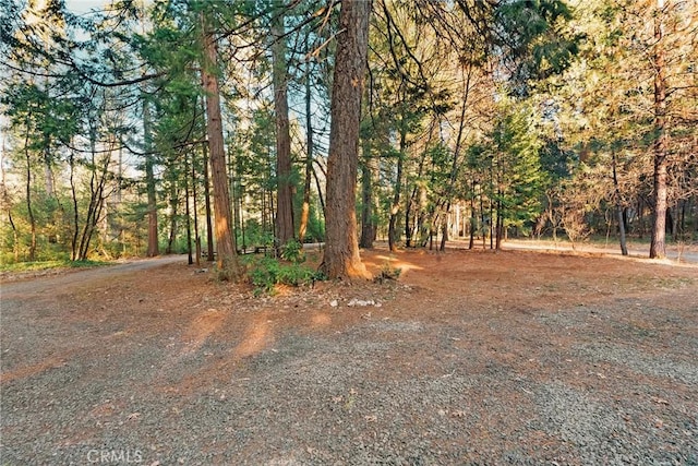 6356 Hidden Lake Ln, Magalia, CA 95954 - photo 40