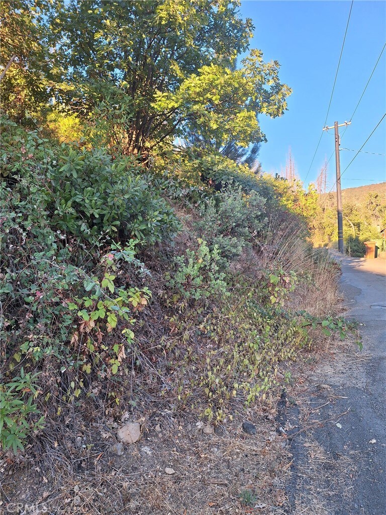 11081 Hot Springs Rd, Middletown, CA 95461 - photo 3