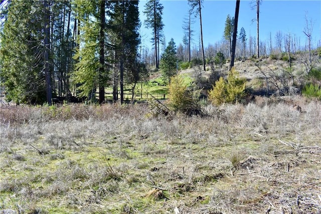 20 Meadow Ln, Berry Creek, CA 95916