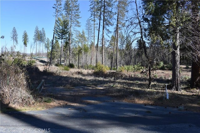20 Meadow Ln, Berry Creek, CA 95916