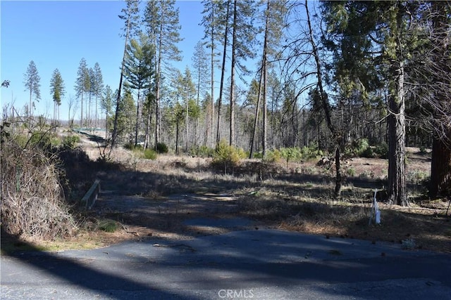 20 Meadow Ln, Berry Creek, CA 95916
