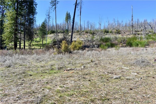 20 Meadow Ln, Berry Creek, CA 95916