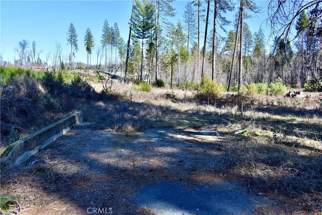 20 Meadow Ln, Berry Creek, CA 95916