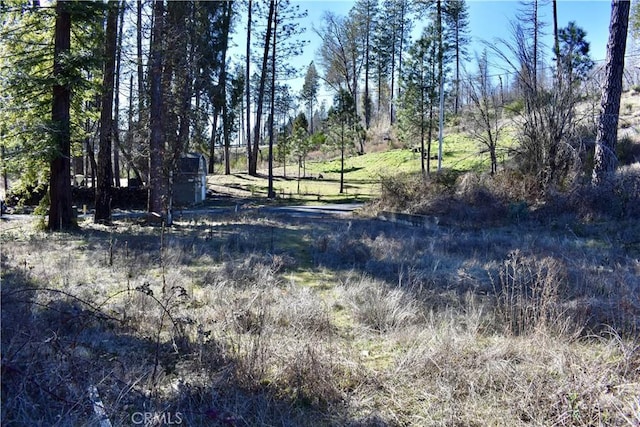 20 Meadow Ln, Berry Creek, CA 95916