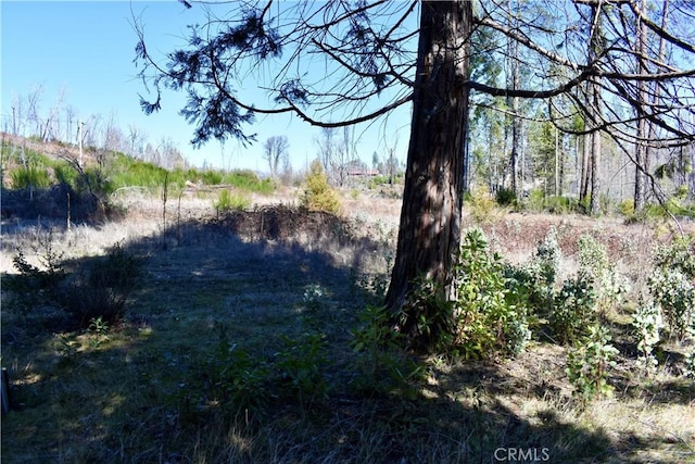 20 Meadow Ln, Berry Creek, CA 95916