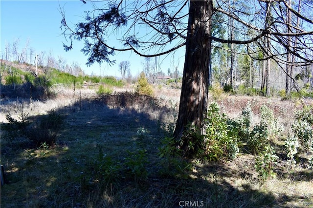 20 Meadow Ln, Berry Creek, CA 95916