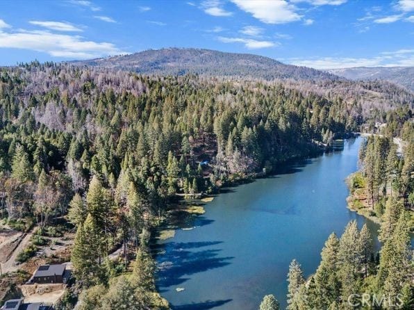 20 Meadow Ln, Berry Creek, CA 95916