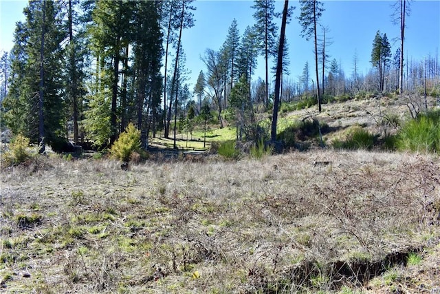 20 Meadow Ln, Berry Creek, CA 95916
