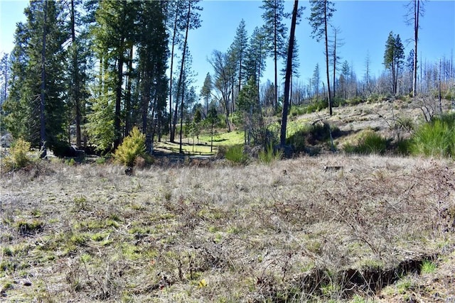 20 Meadow Ln, Berry Creek, CA 95916