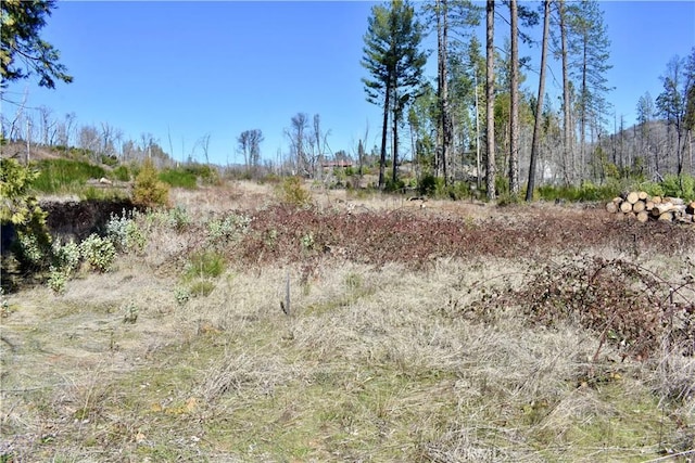 20 Meadow Ln, Berry Creek, CA 95916