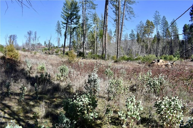 20 Meadow Ln, Berry Creek, CA 95916
