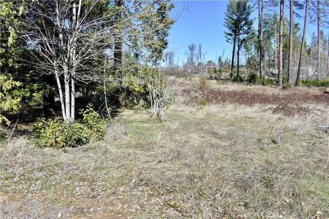 20 Meadow Ln, Berry Creek, CA 95916