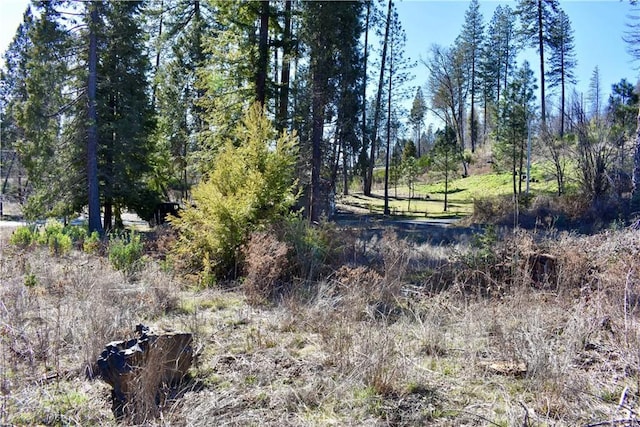 20 Meadow Ln, Berry Creek, CA 95916