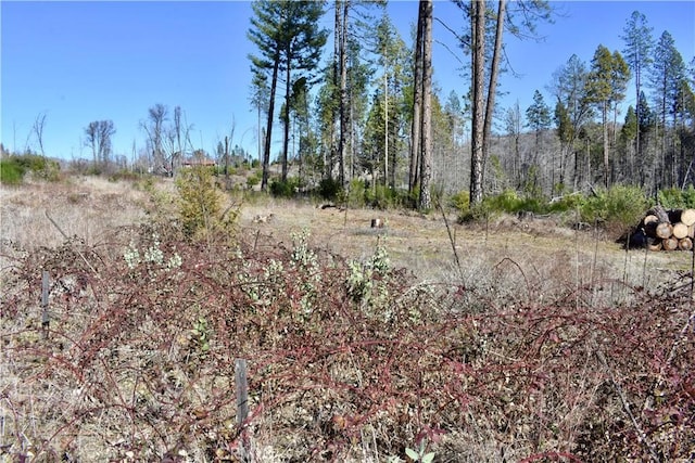 20 Meadow Ln, Berry Creek, CA 95916