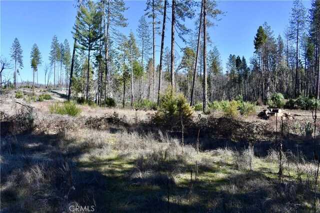 20 Meadow Ln, Berry Creek, CA 95916