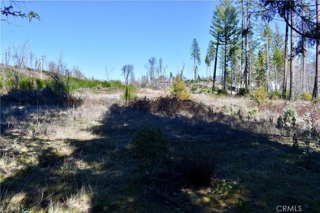 20 Meadow Ln, Berry Creek, CA 95916