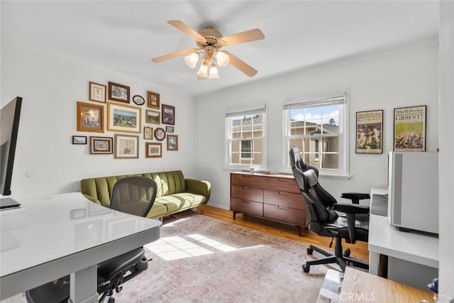 office area with wood finished floors, a ceiling fan, and crown molding