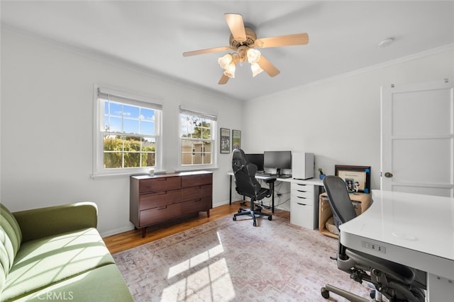 office featuring baseboards, a ceiling fan, crown molding, and wood finished floors