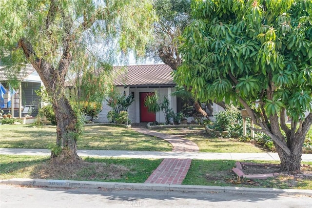 view of property hidden behind natural elements with stucco siding, a front lawn, and a tiled roof