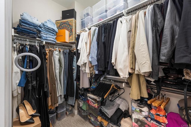 view of spacious closet