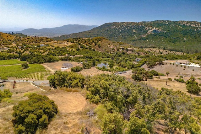 44867 Via Horca, Temecula, CA 92590