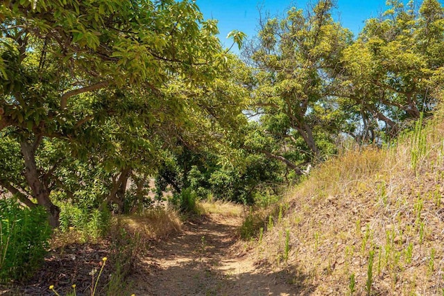 44867 Via Horca, Temecula, CA 92590