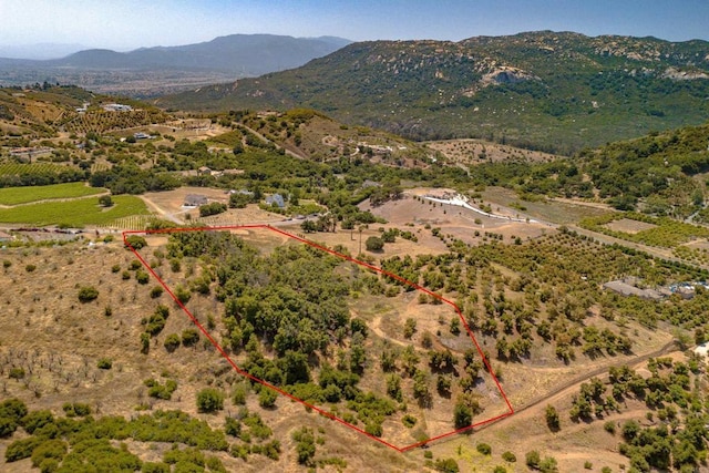 44867 Via Horca, Temecula, CA 92590