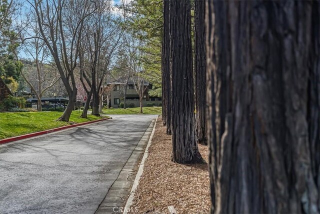 view of road featuring curbs