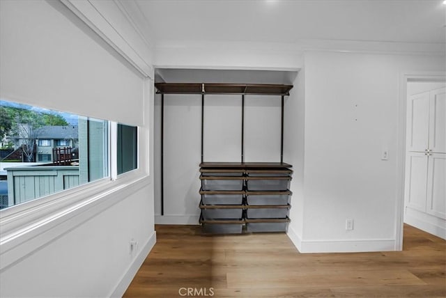 interior space featuring wood finished floors