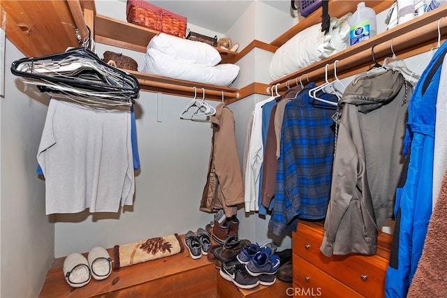 view of spacious closet