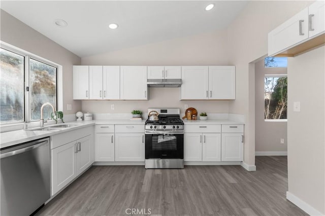 kitchen featuring under cabinet range hood, appliances with stainless steel finishes, vaulted ceiling, and a sink