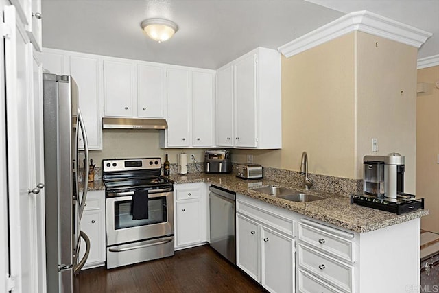 kitchen with light stone counters, appliances with stainless steel finishes, dark wood-type flooring, a sink, and under cabinet range hood