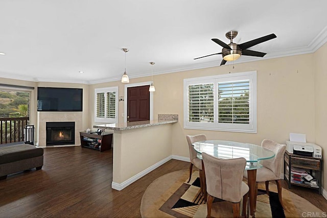 dining space with dark wood-style floors, baseboards, and a healthy amount of sunlight