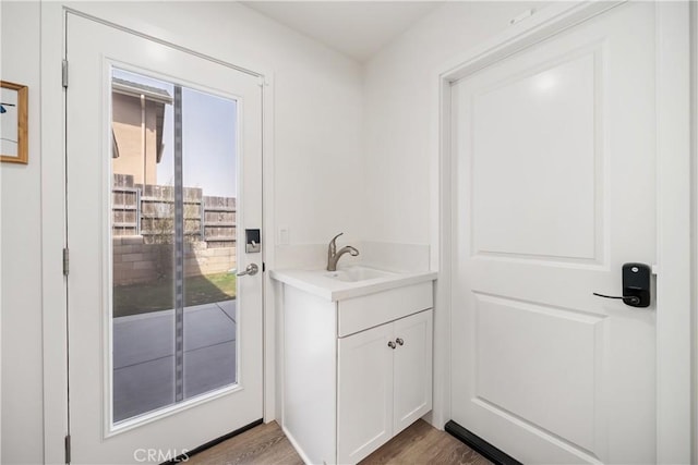 bathroom featuring wood finished floors and vanity