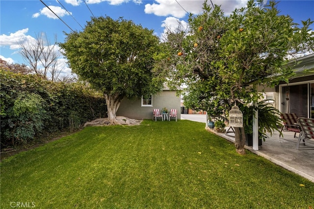 view of yard featuring a patio area