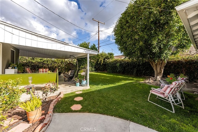 view of yard featuring a patio area