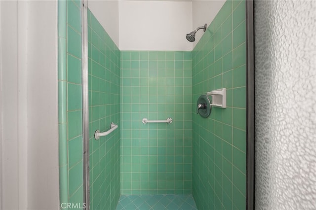 bathroom featuring a shower stall