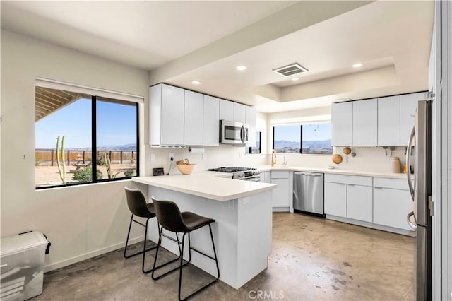 kitchen with stainless steel appliances, a raised ceiling, visible vents, concrete floors, and a peninsula