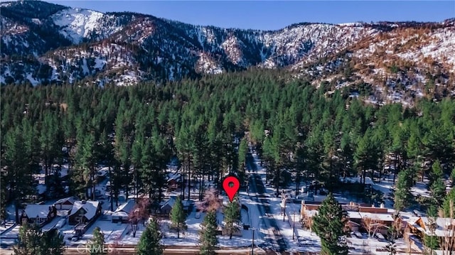 1131 Apple Ave, Wrightwood, CA 92397 - mountain view featuring a forest view