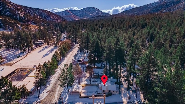 birds eye view of property featuring a mountain view and a wooded view