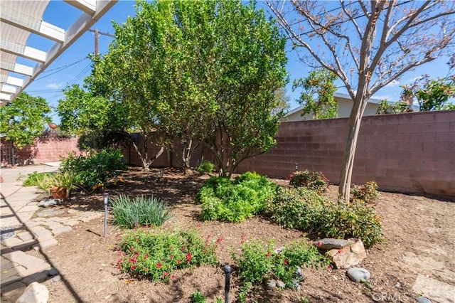 view of yard with a fenced backyard and a pergola