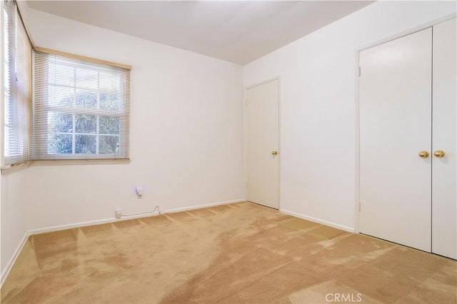 unfurnished bedroom featuring carpet floors and a closet