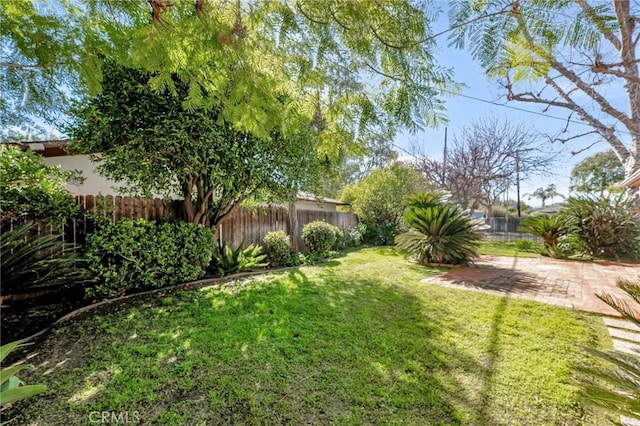 view of yard featuring a patio area and fence