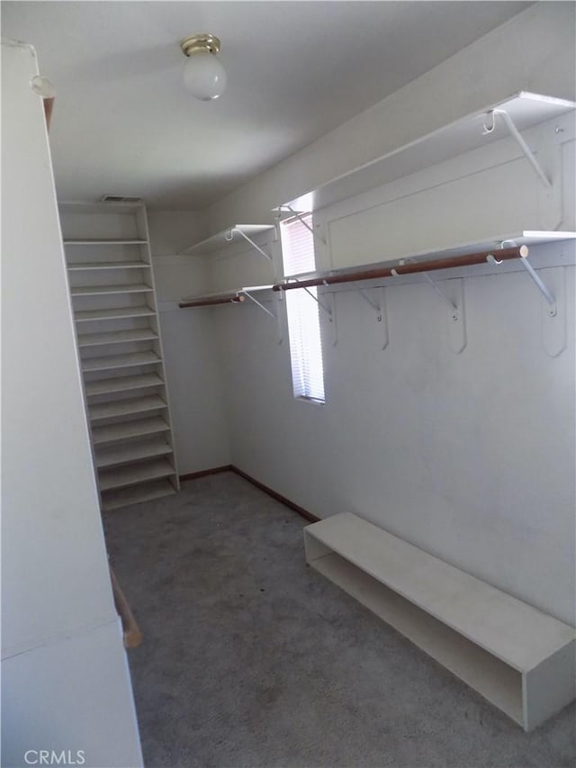 spacious closet with carpet flooring