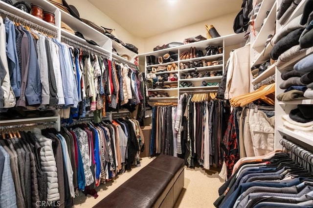 spacious closet with carpet