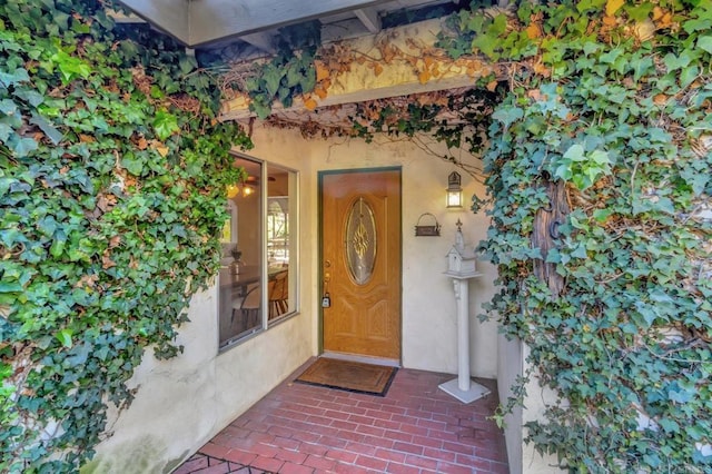 view of exterior entry with stucco siding