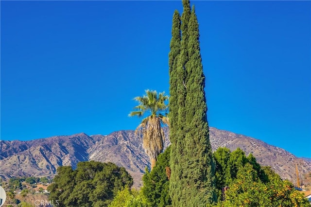 view of mountain feature